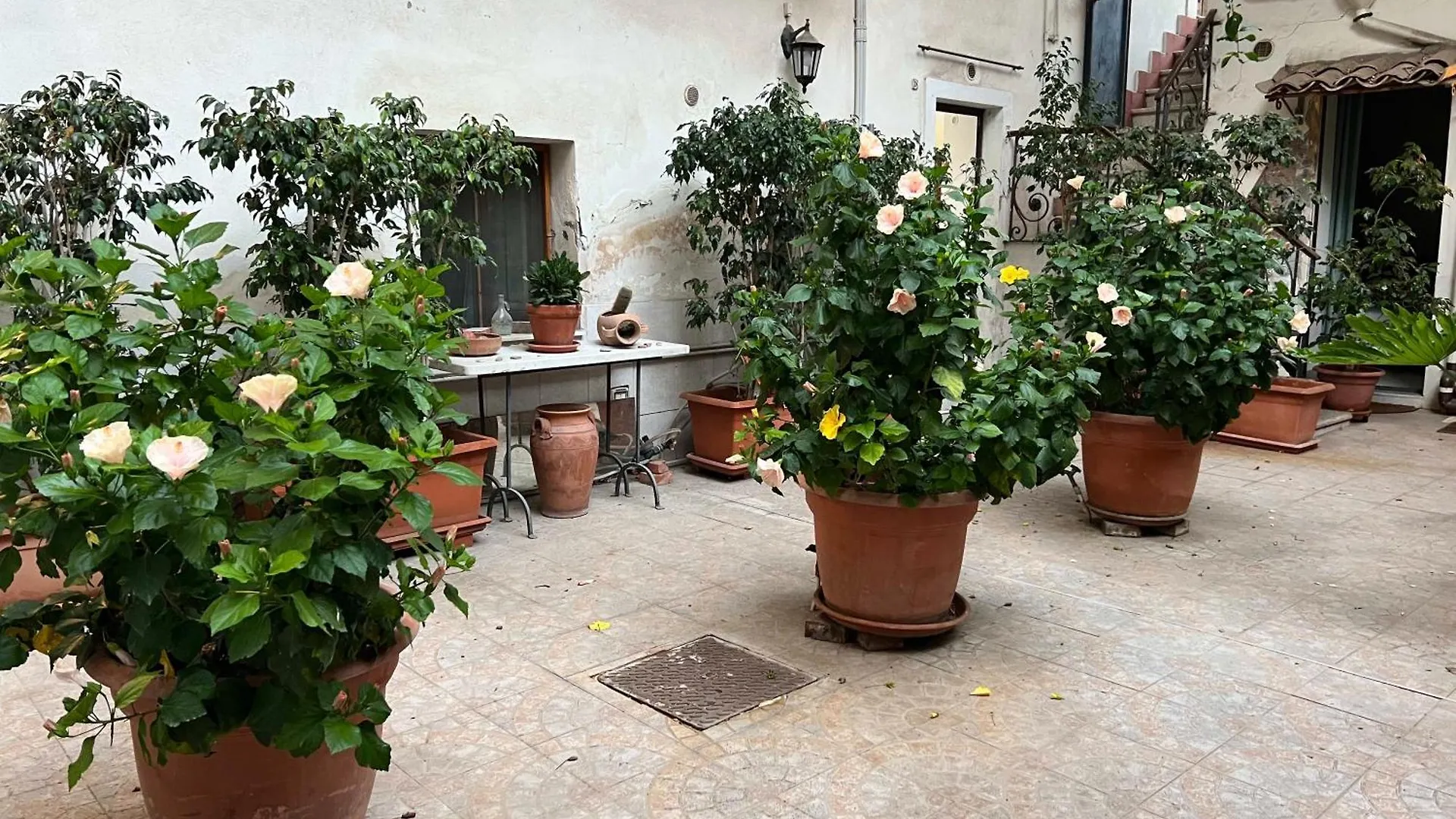 Apartman Bellini Space 3 Catania