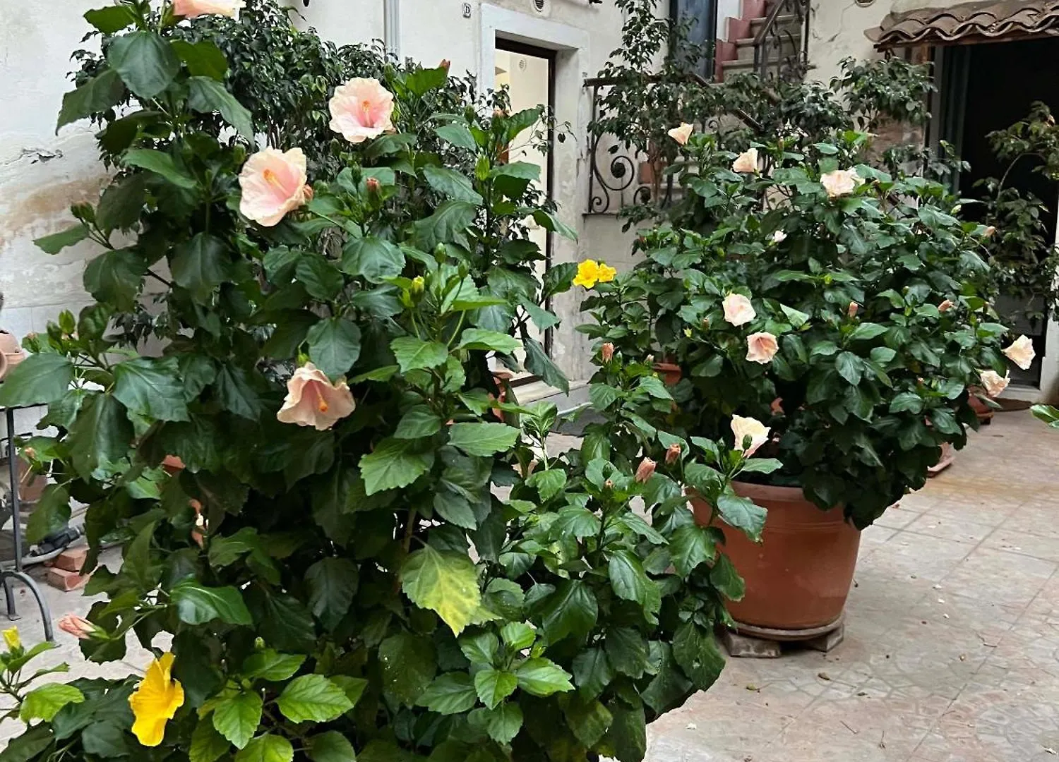 Bellini Space 3 Catania Apartman